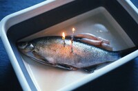 Lin Zhipeng (AKA No.223) at Saint Laurent, Rive Droite 6