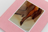 Ezekiel, SMUT: Volume 1, Transgressions 12