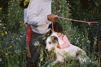  Si&#226;n Davey, The Garden 0