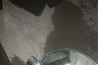 JordanLuca x Herrensauna by Roxy Lee 19