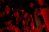 In Fabric Peter Strickland costumes design Jo Thompson 2 1