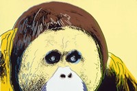 warhol orangutan 1983 - guardian 25