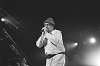 Photograph of Devo by Sarah Fakray. Rest of photog 4