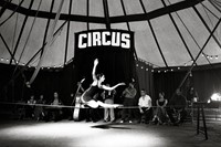 CIRCUS_P3_COver 0