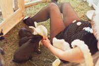 Shirley Cameron, The Pregnant Bunny Girl, 1974 24