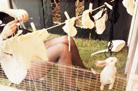 Shirley Cameron, The Pregnant Bunny Girl, 1974 25