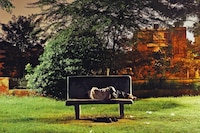 Dhruv Malhotra, Untitled, from the After Dark trilogy 4