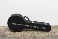 The Sweet Sharp Taste of Limes - photo-by-Andy-Kea 2