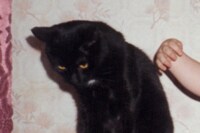 Nika Sandler, My Nonhuman Friends 15