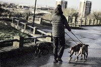 Loaded Gun Charlie Birch 9