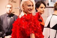 Armani Priv&#233; Haute Couture AW14 Susie Bubble Paris 1