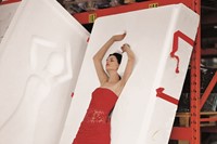 Fashion &amp; Politics Photo Vogue 27