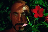 To Die Alive Matthew Leifheit Fire Island gay LGBT 4