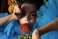 Bj&#246;rk – autumn 2017 7