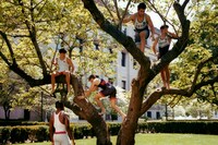 The Lion and the Lamb by Ashley Markle wrestling 22