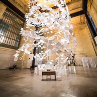 &#39;Da Vinci of Debt&#39; –&#160;Natural Light (2020)