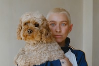 Dogs and their Dykes 2