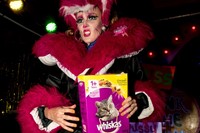 Georgie Bee 8