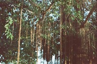 Trinity Ellis’ Puerto Rico 18