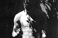 Peter De Potter’s ‘The Vanity of Certain Flowers’ 4