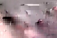 Taysir Batniji, Disruptions 6