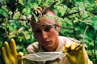 Cruising Archaeology II: Eurotrash