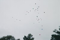 Nate Langston Palmer, “Tyeshia”, Song of Sons 12