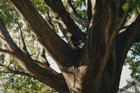 Nate Langston Palmer, “Arm’s Length”, Song of Sons 13