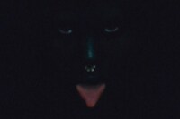 Gabriel Moses cover 6