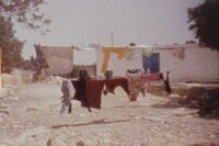 Zaineb Abelque, Untitled 12