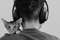 Marvel Harris, Cat on Shoulder of Human With Headphones 4