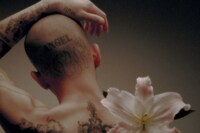 Marcin T. Jozefiak, Fearless Flowers 16