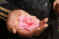 Safouane Ben Slama-Le Don - 2230