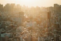 Leafy Yun Ye, Tokyo Odyssey 10