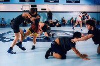 The Lion and the Lamb by Ashley Markle wrestling 12