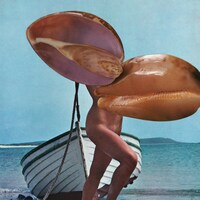 Linder, “The Goddess Who has Five Faces” (2019)