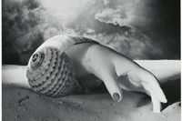 Dora Maar Untitled (Hand Shell) 1