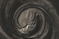 Georgia O’Keeffe, “No. 8 – Special (Drawing No. 8)” (1916) 5