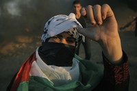 Portraits of Palestinian youth, Active Stills 0