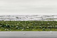Andreas Gursky 6