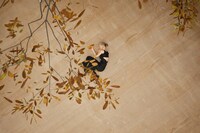 Coperni AW23 campaign 10 9