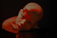 Marcin T. Jozefiak, Fearless Flowers 22