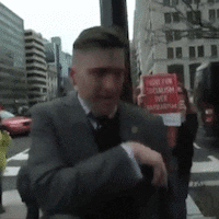 richard spencer punch