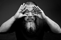 Ai WeiWei: Life Cycle 8