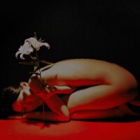 Marcin T. Jozefiak, Fearless Flowers