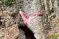 Brea Souders, “Another Online Pervert” (MACK, 2023) 7