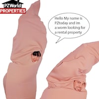 PZ Today Properties worm rental housing market