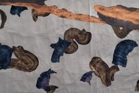 Ashley Loxton, Going Home, 2023 11