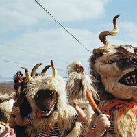 Tom Marshak, Zvončari