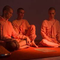 Courtesy of Cottweiler